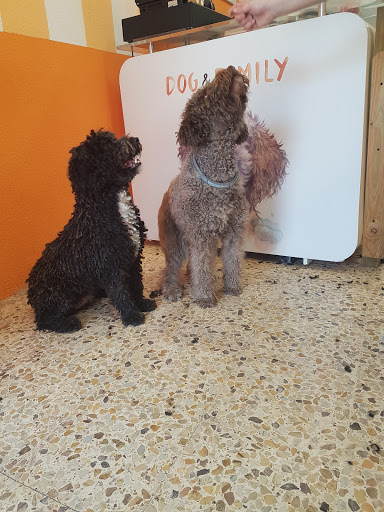 Dog & Family Perruqueria Canina