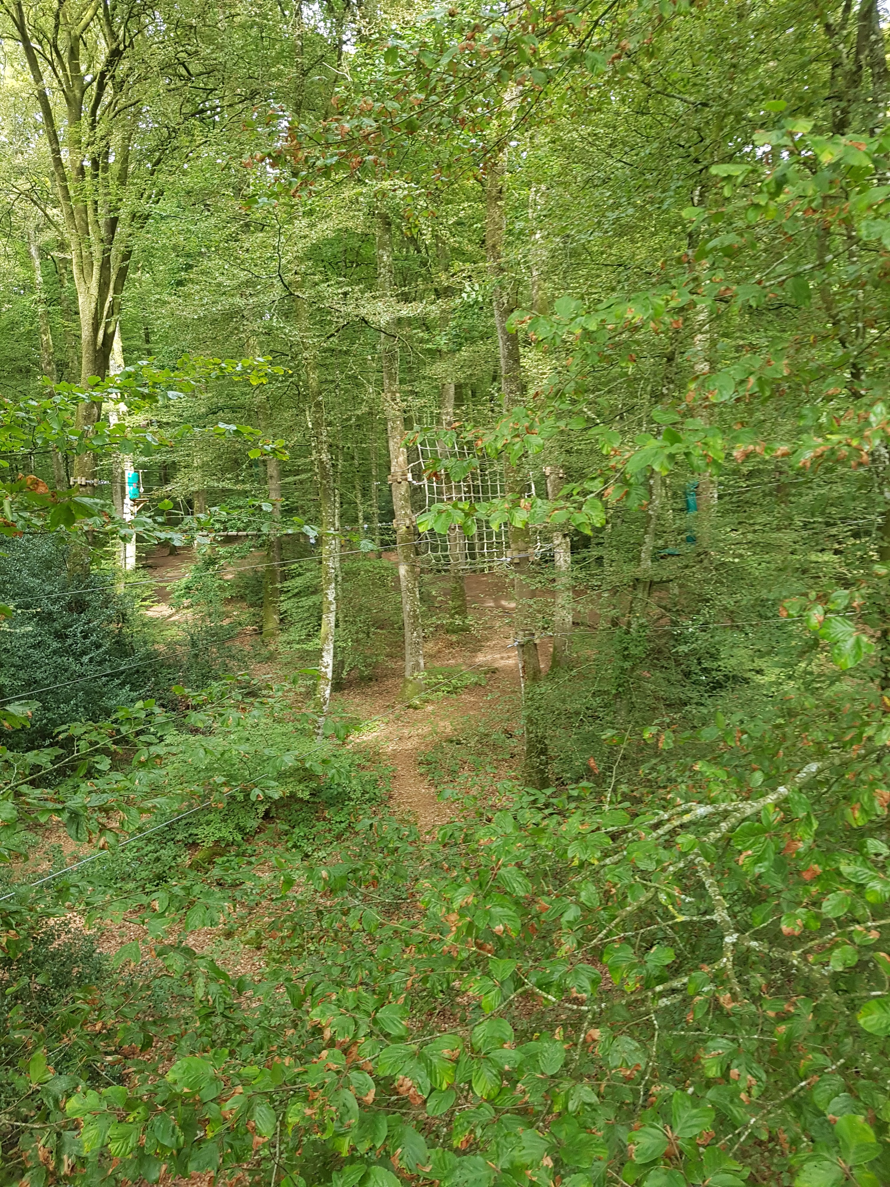 Photo n° 1 de l'avis de Guillaume. fait le 14/08/2017 à 17:26