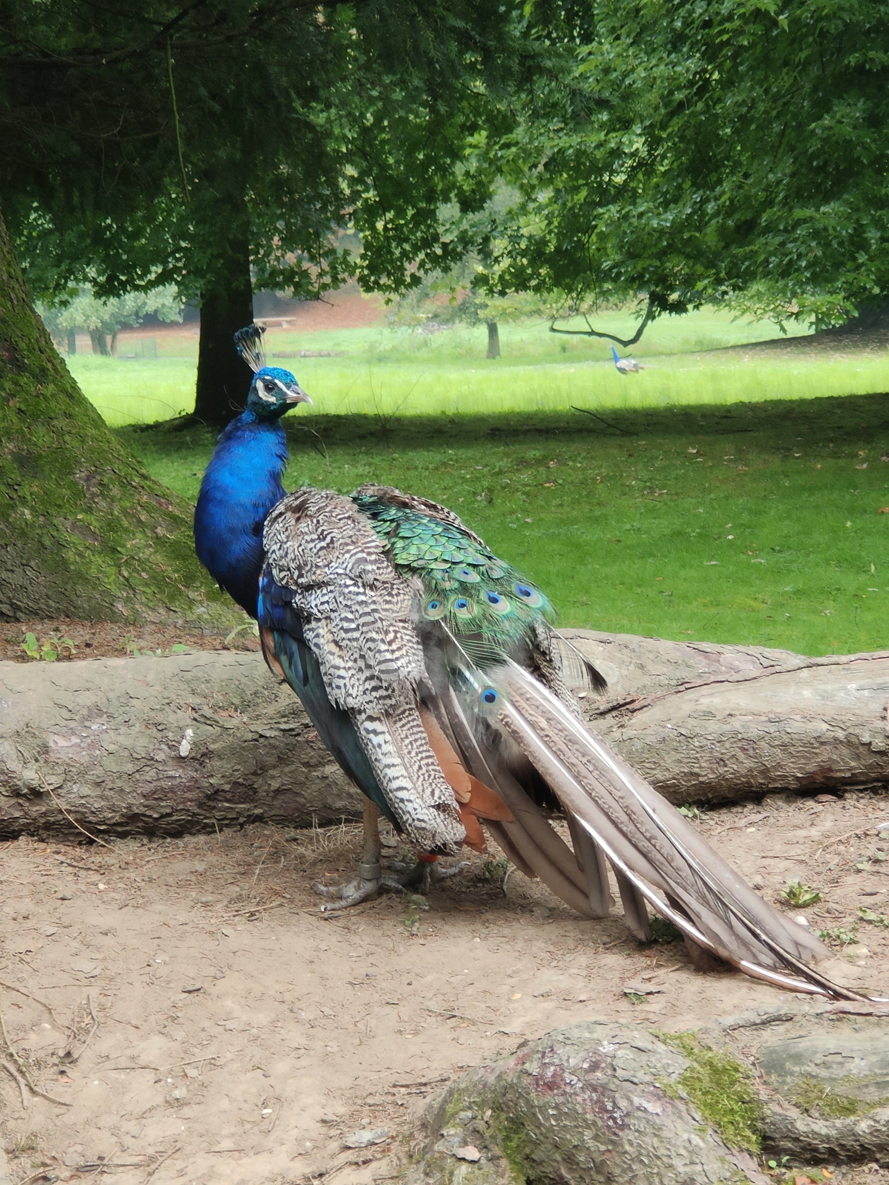 Photo n° 10 de l'avis de amourette.h fait le 19/09/2023 à 06:08