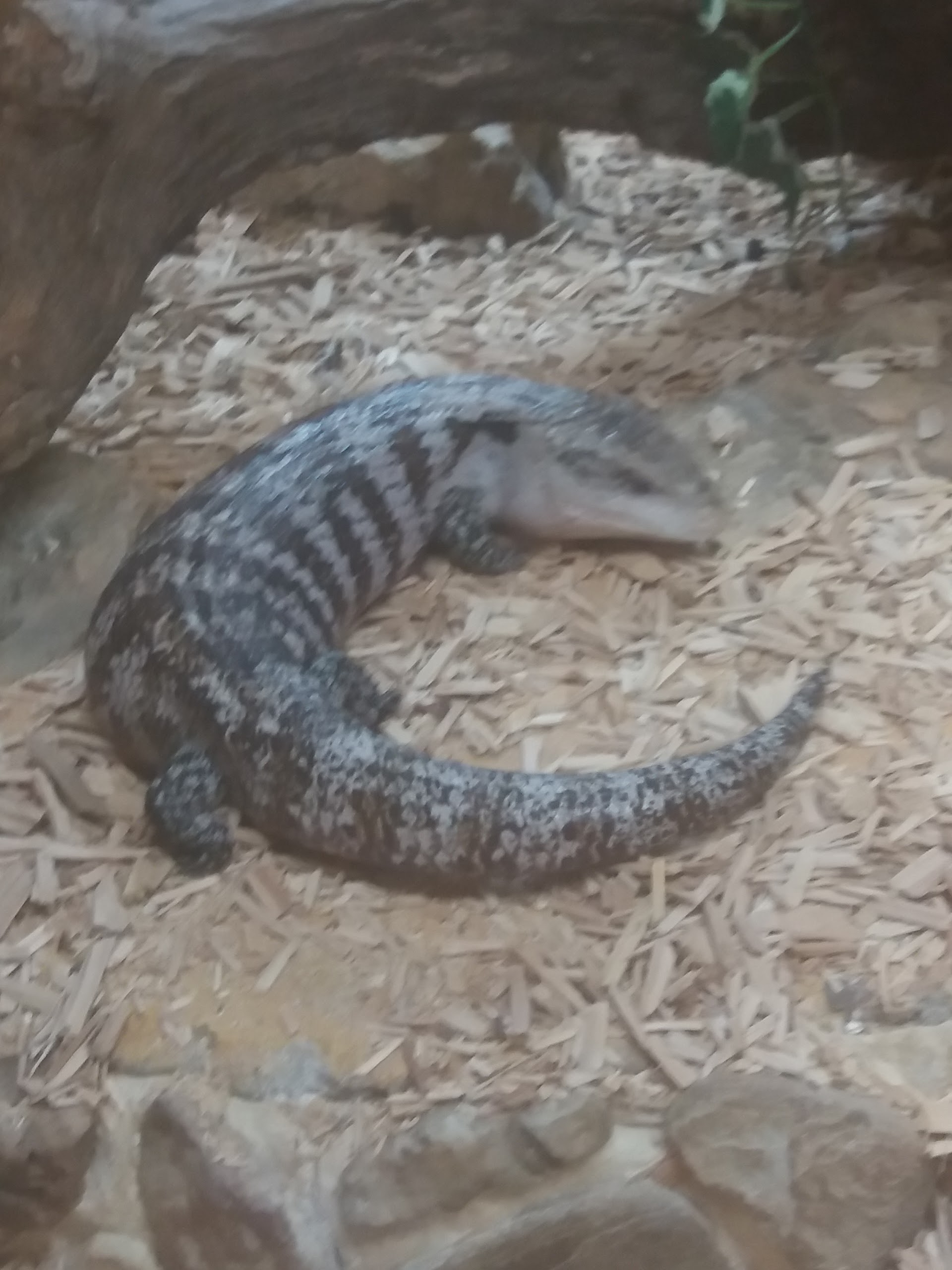 Photo n° 21 de l'avis de Damien.i fait le 21/08/2017 à 19:35