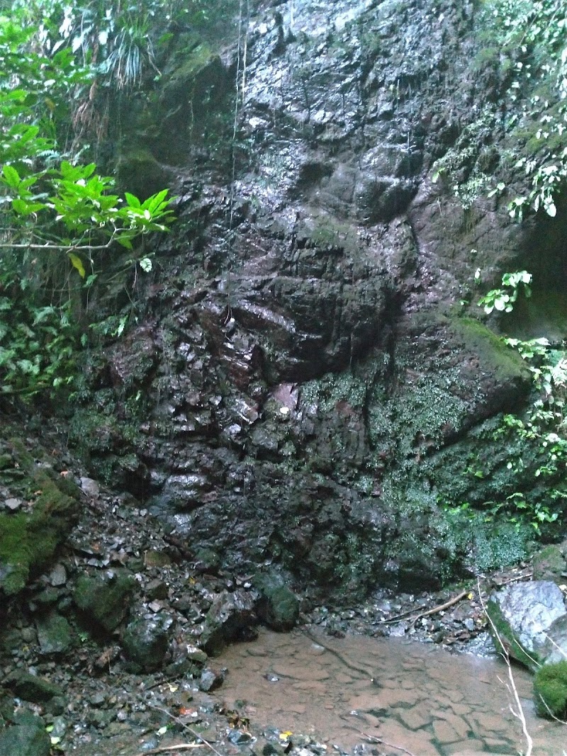 樽澤の滝