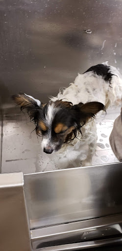 Pet Supply Store «Lemos Feed & Pet Supply», reviews and photos, 1320 Main St, Morro Bay, CA 93442, USA