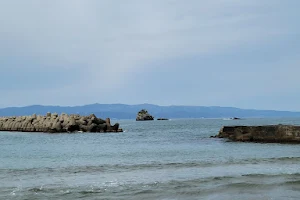 Kokubu Coast Park image