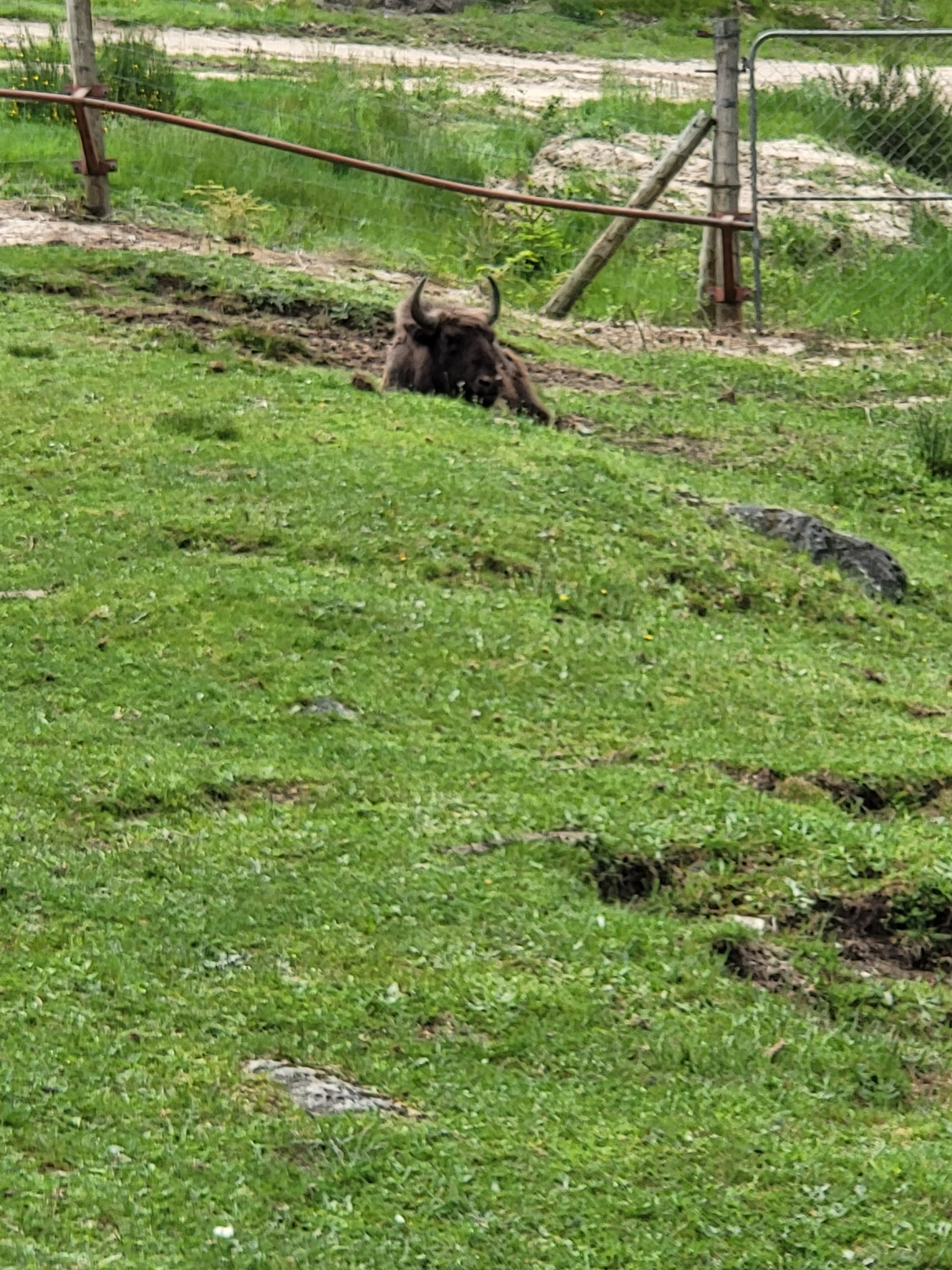 Photo n° 15 de l'avis de Joseph.e fait le 07/06/2023 à 21:11