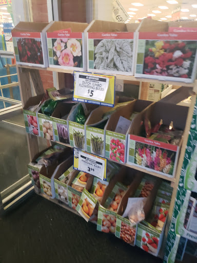 Discount Store «Ocean State Job Lot», reviews and photos, 1 Snow Rd, Marshfield, MA 02050, USA