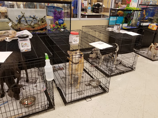 Pet Supply Store «PetSmart», reviews and photos, 13337 Worth Ave, Woodbridge, VA 22192, USA