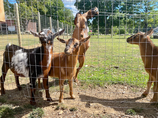 Farm «Houlden Farms», reviews and photos, 139 Old Westboro Rd, North Grafton, MA 01536, USA