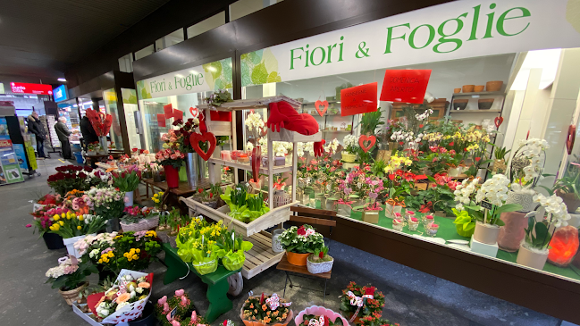 Rezensionen über Fiori & Foglie di Tiziana Fontana in Lugano - Blumengeschäft