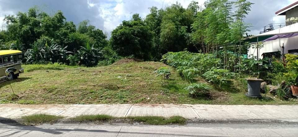 VACANT LOT FOR SALE in Lot 5 Block 7 Pedro Sabido St., BF Vista Grande, BF Resort Village Phase 4