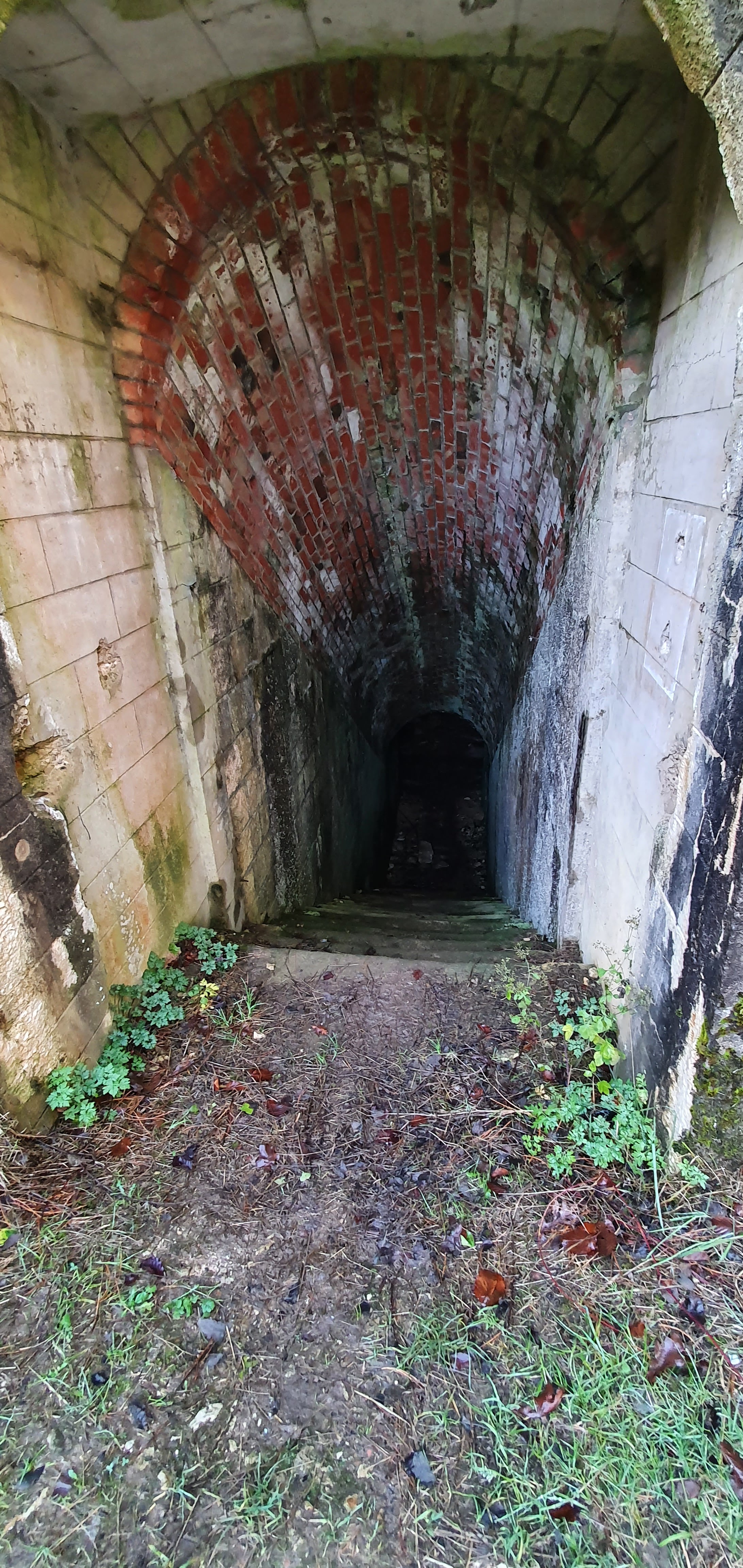 Photo n° 3 de l'avis de Lee.a fait le 15/12/2021 à 16:23