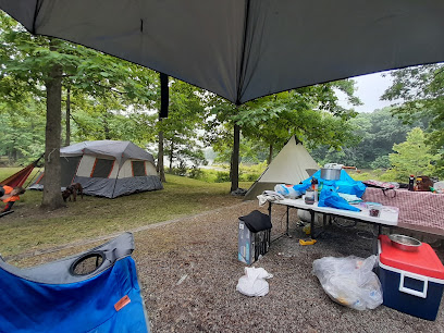Lake Murphysboro Camping