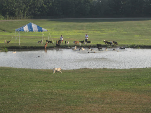 Pet Boarding Service «The Pet Camp», reviews and photos, 380 Bart Bull Rd, Middletown, NY 10941, USA