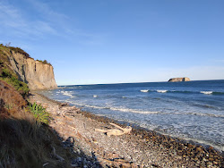 Motunau Beach'in fotoğrafı çok temiz temizlik seviyesi ile