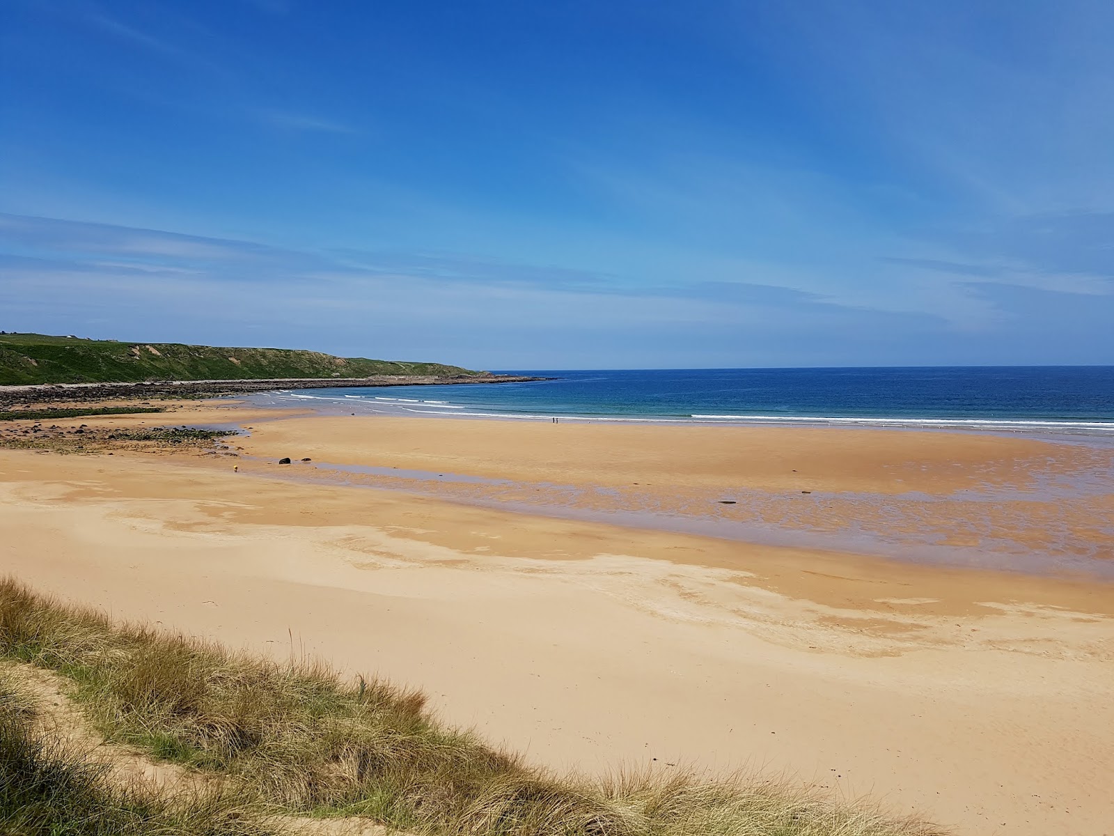 Foto de Melvich Beach con playa amplia