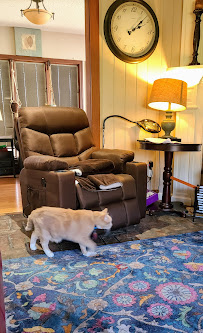 Your Healthy Pet - Photo 2 - Car repair in Newtown, CT, Bridgeport