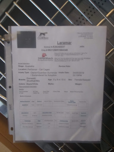 Pet Supply Store «Petsense Cleburne», reviews and photos, 1301 W Henderson St, Cleburne, TX 76033, USA