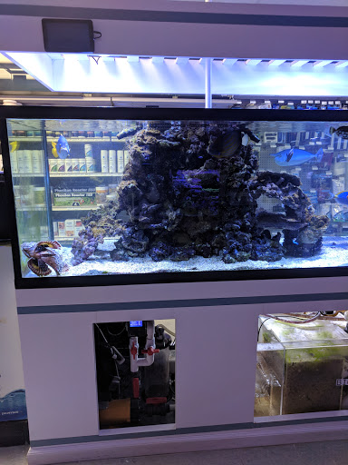 Tropical Fish Store «Beyond the Reef», reviews and photos, 205 W Golf Rd, Schaumburg, IL 60195, USA