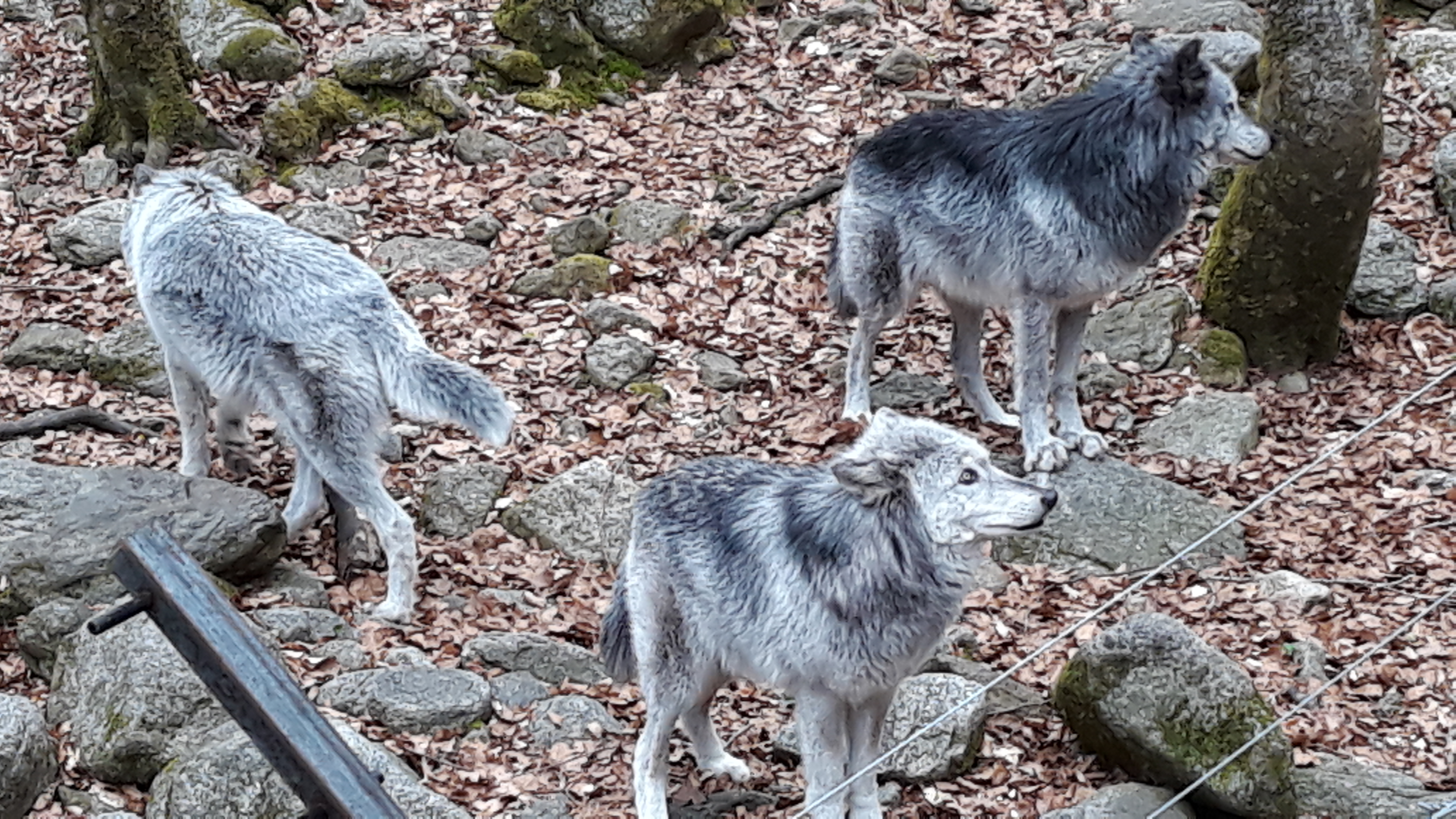 Photo n° 9 de l'avis de Anne.a fait le 24/04/2019 à 15:11