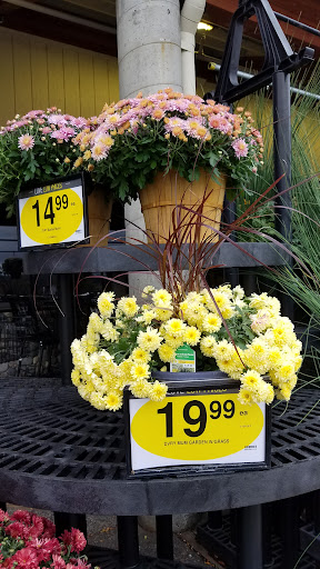 Grocery Store «Quality Food Center», reviews and photos, 1009 Monroe Ave, Enumclaw, WA 98022, USA