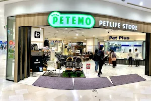 PETEMO at Aqua City Odaiba image