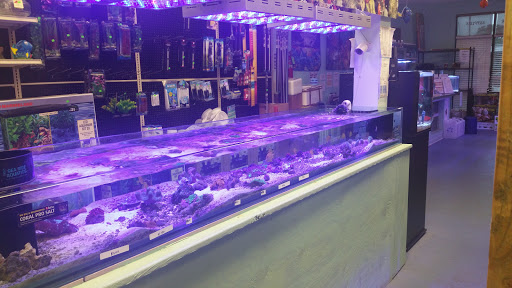 Tropical Fish Store «NOLA Aquatics», reviews and photos, 1705 LA-59 #10, Mandeville, LA 70448, USA