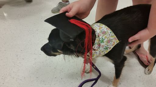 Pet Supply Store «PetSmart», reviews and photos, 57 NJ-23, Wayne, NJ 07470, USA