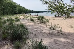 East Harbor State Park Dog Friendly Beach image