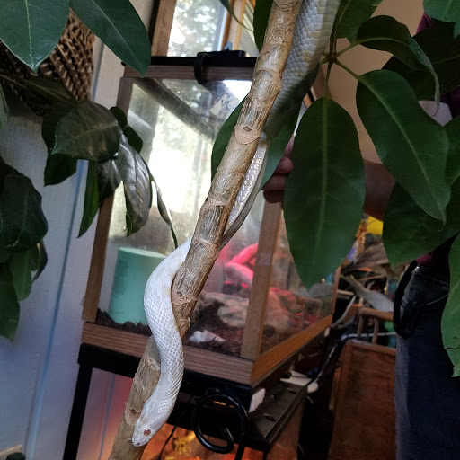 Nature Preserve «Wildwood Nature Center», reviews and photos, 529 Forestview Ave, Park Ridge, IL 60068, USA