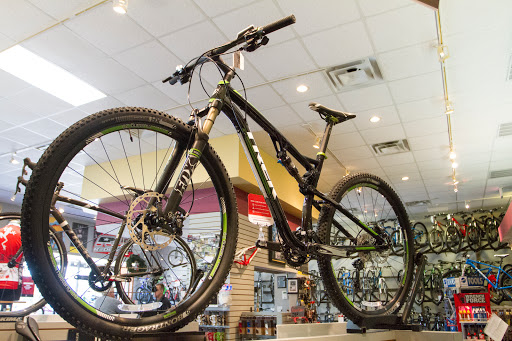 Bicycle Store «Bird Legs Bicycles», reviews and photos, 2784 Capital Cir NE, Tallahassee, FL 32308, USA