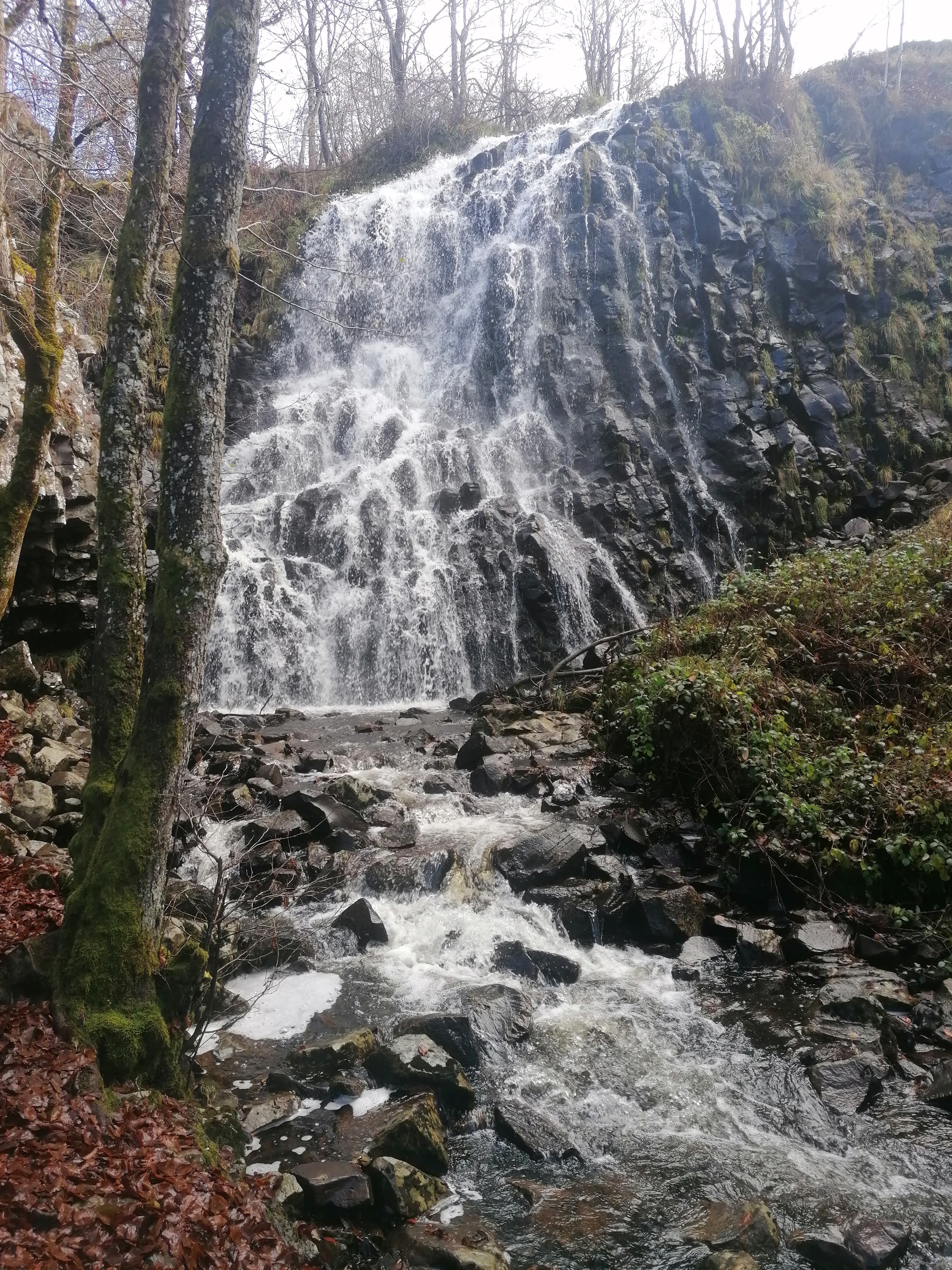 Photo n° 4 de l'avis de Deikta. fait le 21/11/2021 à 13:06