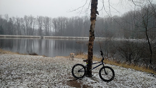 Bicycle Store «Silver Cycles, Bicycle Sales & Repairs», reviews and photos, 8307 Dixon Ave, Silver Spring, MD 20910, USA