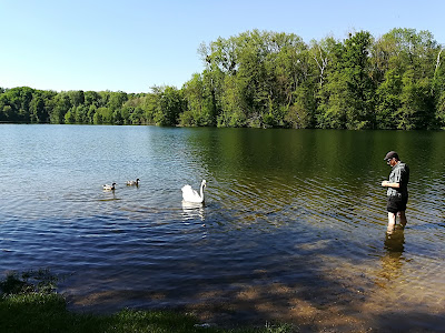 Bois De Cramoisy à Cramoisy