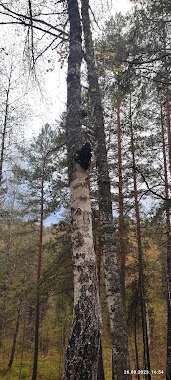 Krasnoyarsk Krai
