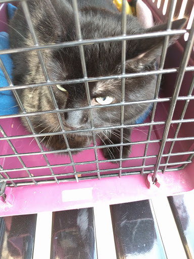 Pet Supply Store «Pet Valu», reviews and photos, 3491 Merchant Boulevard, Abingdon, MD 21009, USA