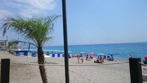 Küçük Resim 1