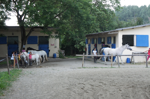 Centre équestre Renaudine Equitation Bours