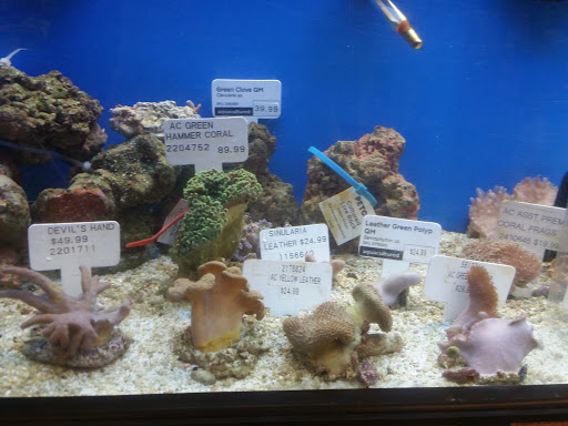 Pet Supply Store «Petco Animal Supplies», reviews and photos, 753 53rd Ave NE, Fridley, MN 55421, USA