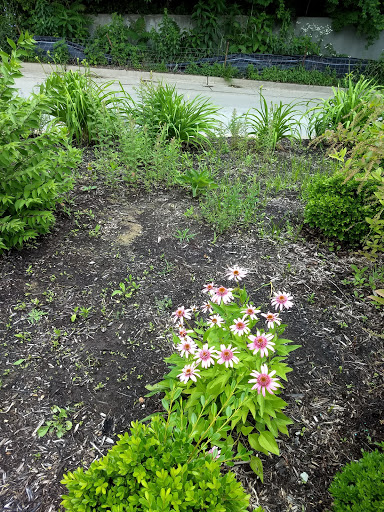 Tourist Attraction «Heigold House Facade», reviews and photos, 332-402 Frankfort Ave, Louisville, KY 40206, USA