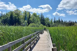 Jack Pine Trail image