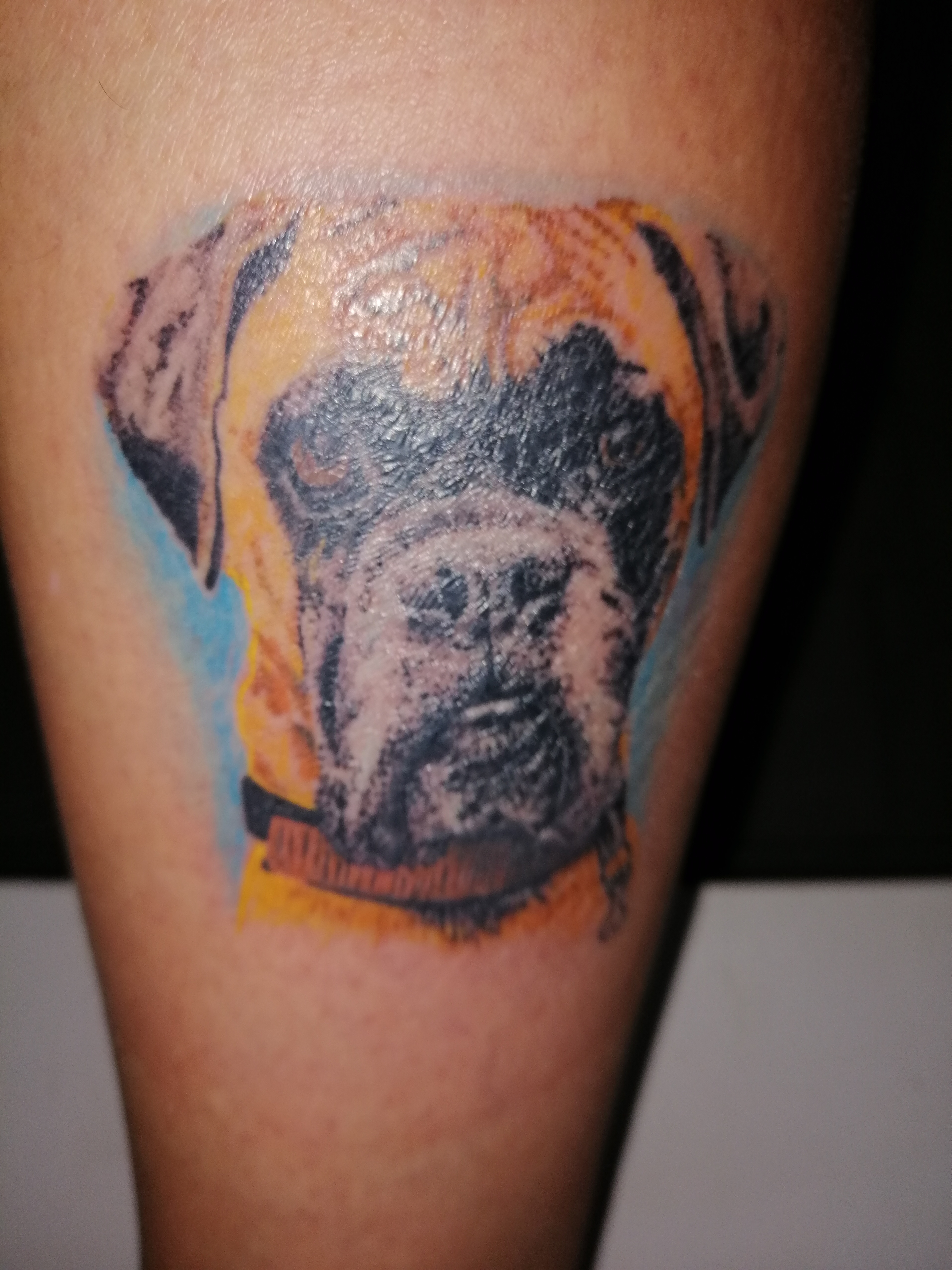 Photo n° 1 de l'avis de Isa.o fait le 10/11/2019 à 08:11
