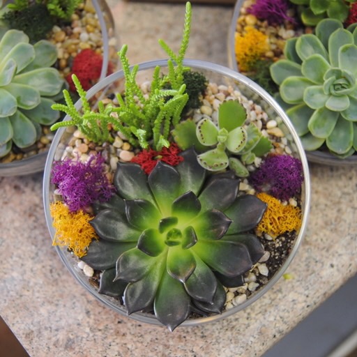 Florist «Polk Street Florist», reviews and photos, 1718-A Polk St, San Francisco, CA 94109, USA