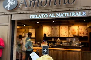 Amorino Gelato - Paris Montorgueil image