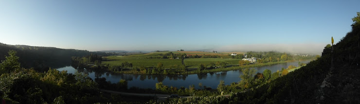 Extérieur Holiday apartment Winzerhof & Ferienwohnungen Linster 54439 Palzem