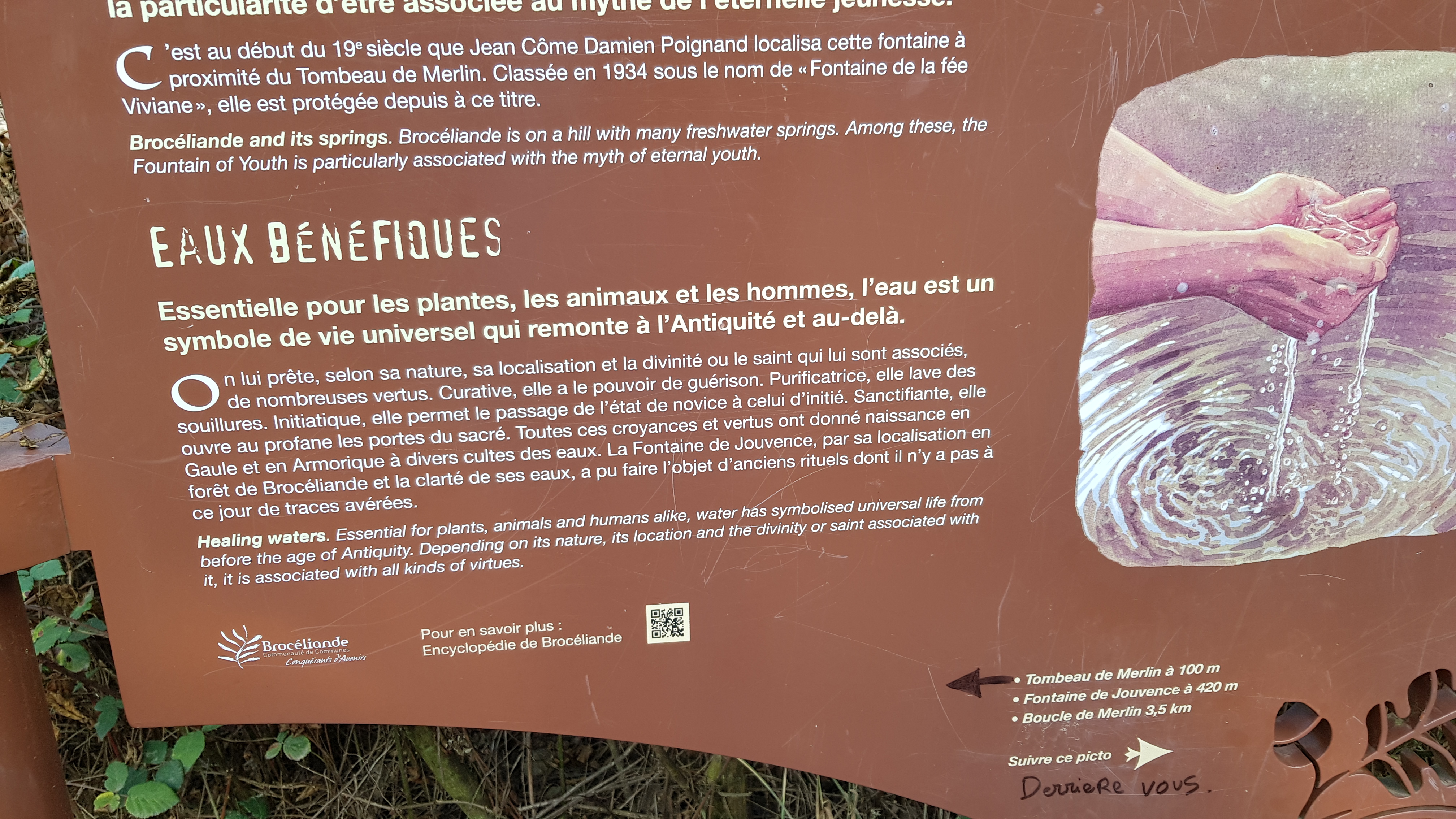 Photo n° 9 de l'avis de JEJE.R fait le 21/08/2020 à 19:04