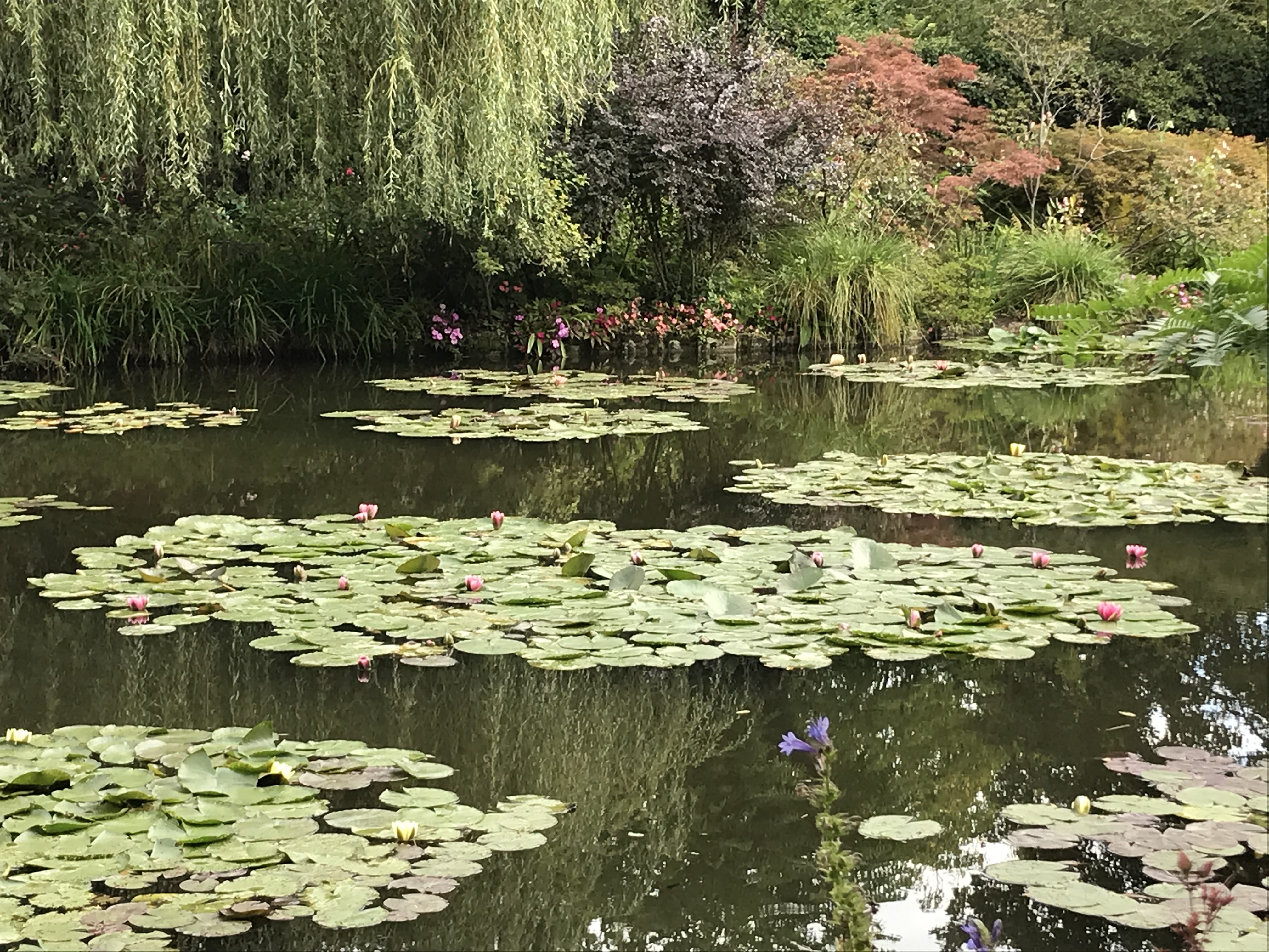 Photo n° 1 de l'avis de Roxane.A fait le 19/08/2021 à 09:20