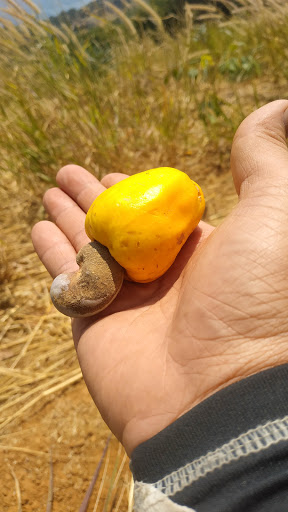 Top 12 cửa hàng bán dù Huyện Đạ Tẻh Lâm Đồng 2022