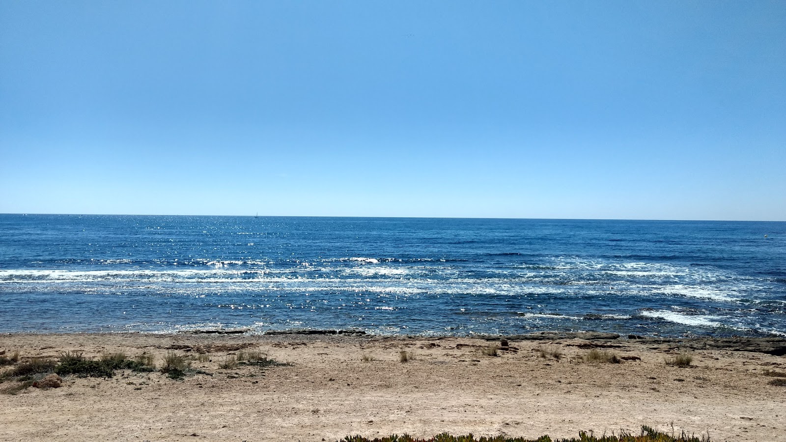 Fotografija Playa Torrevieja divje območje