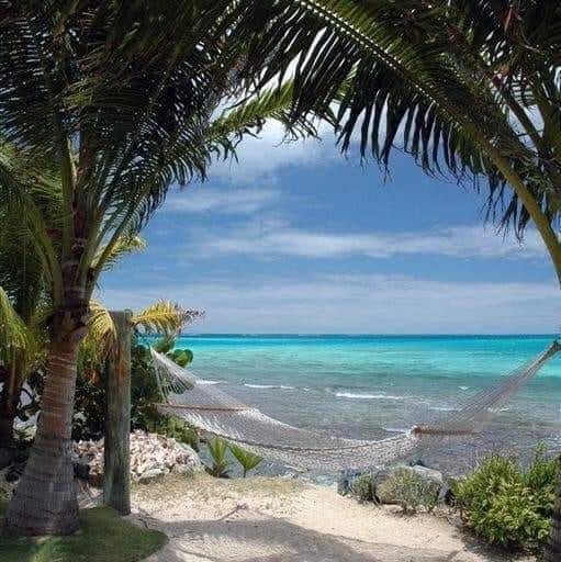 Real Estate Agency «Coldwell Banker Paradise», reviews and photos, 1950 US-1, Vero Beach, FL 32960, USA