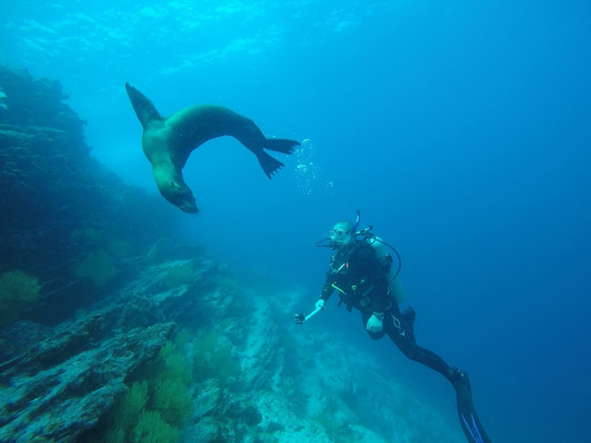 Albatros Dive Resort Galapagos - Agencia de viajes