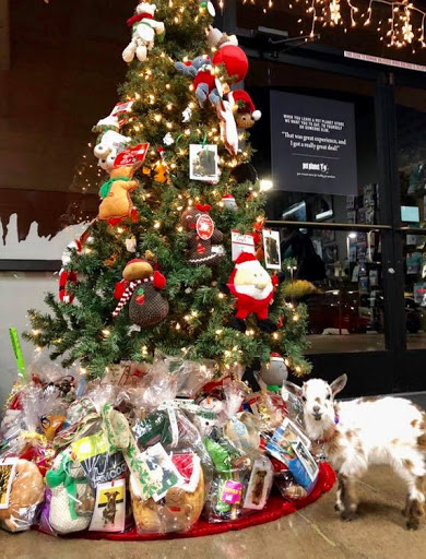 Pet Store «Pet Planet Ridgeview», reviews and photos, 2910 N Power Rd #103, Mesa, AZ 85215, USA